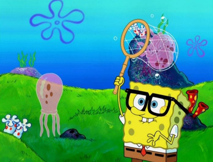 What Are SpongeBob Jellyfish